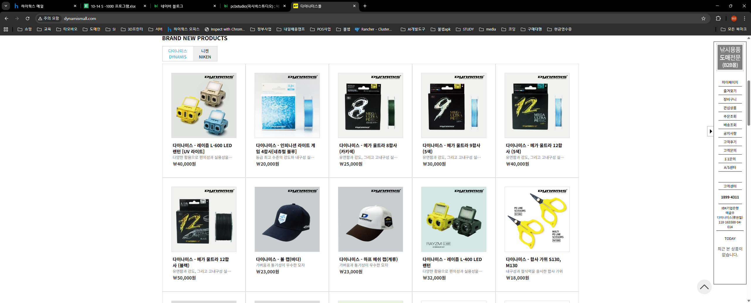 다이나미스 웹 개발